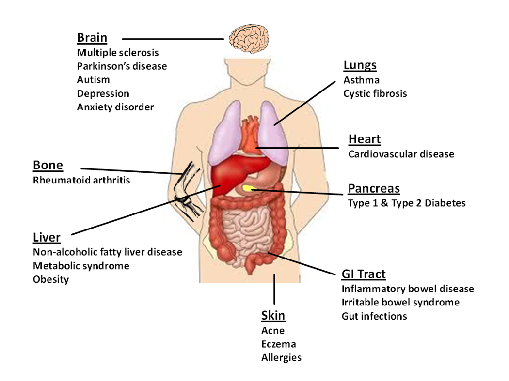 Figure 1.png